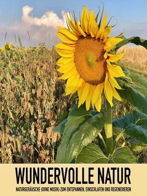 cover image of Wundervolle Natur